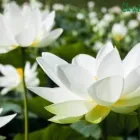 La imagen 5 de la Empresa CHRISTINE VALMY COLOMBIA ACADEMIA MARGOTA CV en Cali VAC