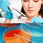 La imagen 1 de la Empresa CIPAT Patología en Cartago VAC