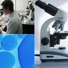 La imagen 2 de la Empresa CIPAT Patología en Cartago VAC