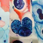 La imagen 4 de la Empresa CIPAT Patología en Cartago VAC