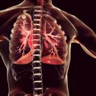 La imagen 5 de la Empresa CLÍNICA NEUMOLÓGICA Y DEL SUEÑO Tienda de equipos de oxígeno en Cúcuta NSA