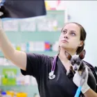 La imagen 2 de la Empresa CLÍNICA VETERINARIA DITAIRES Veterinario en Medellín ANT