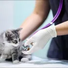 La imagen 1 de la Empresa CLÍNICA VETERINARIA MUNDO ANIMAL Veterinario en Cali VAC