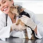 La imagen 5 de la Empresa CLÍNICA VETERINARIA MUNDO ANIMAL Veterinario en Cali VAC