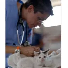 La imagen 2 de la Empresa CLÍNICA VETERINARIA PET.DOCTOR EMMANUEL DURÁN Veterinario en Cúcuta NSA