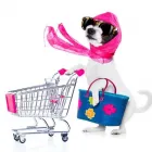 La imagen 2 de la Empresa CLÍNICA VETERINARIA SCHUSTER & MEJIA Tienda para mascotas en Bogotá DC