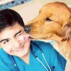 La imagen 3 de la Empresa CLÍNIICA VETERINARIA SANAVET Veterinario en Medellín ANT