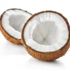 La imagen 1 de la Empresa COCO FAMR COLOMBIA Viveros en Bogotá CUN