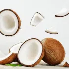 La imagen 2 de la Empresa COCO FAMR COLOMBIA Viveros en Bogotá CUN