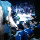 La imagen 4 de la Empresa COLEGIO ALBERT EINSTEIN Colegios mayores en Cúcuta NSA