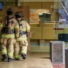 La imagen 4 de la Empresa COMERCIALIZADORA EXTFUMIND Servicio de control de plagas en Cali VAC