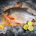 La imagen 4 de la Empresa COMERCIALIZADORA FRESMAR Tienda de alimentos naturales en Dosquebradas RIS