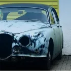 La imagen 2 de la Empresa COMPAÑÍA SEGURA DORA LUZ RESTREPO Asesor de seguros en Cali VAC