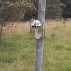 La imagen 1 de la Empresa CONCAVOS Y CONVEXOS EVANS Tienda de espejos en Medellín ANT