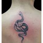 La imagen 3 de la Empresa CONEJO INK Tienda de artículos de arte en Bogotá, D.c. DC