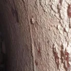 La imagen 1 de la Empresa CONSULTAGUAS S.A.S. Recogida y tratamiento de basura en Medellín ANT