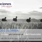 La imagen 4 de la Empresa CREDISOLUCIONES A TU ALCANCE Pensión en Bogotá CUN