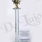La imagen 3 de la Empresa CRISTALES DE LUJO Tienda de trofeos en Pereira RIS