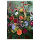 La imagen 1 de la Empresa CYMBIDIUM FLORISTERÍA Tienda de regalos en Cartago VAC