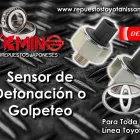 La imagen 1 de la Empresa D´KMINO IMPOREPUESTOS JAPONESES en Bogota DC