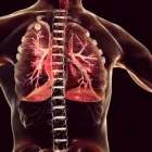 La imagen 4 de la Empresa DEL SUEÑO STORE Tienda de equipos de oxígeno en Cúcuta NSA