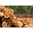 La imagen 3 de la Empresa DEPOSITO DE MADERA RIVERA MONTES Tienda de artículos de embalaje en Cúcuta NSA