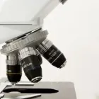 La imagen 4 de la Empresa DR. DAVID CATAÑO TORO Médico de medicina general en Pereira RIS