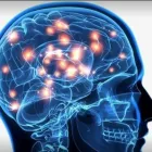 La imagen 3 de la Empresa DR. JAVIER ALZATE ZULUAGA Psicología en Pereira RIS