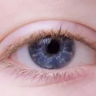 La imagen 5 de la Empresa DR. JORGE RAMÓN HOYOS HERAZO Oftalmología en Pereira RIS