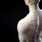 La imagen 1 de la Empresa DR NESTOR JAIME GUAYACÁN REINA Medicina alternativa en Pereira RIS