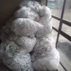 La imagen 12 de la Empresa ECOCLEAN WJ SAS Servicio de transporte en Bogotá CUN