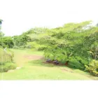 La imagen 3 de la Empresa EDUCADORAS ASOCIADAS LTDA. Universidad en línea en Pereira RIS