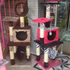 La imagen 3 de la Empresa EL CENTRO DE LA MASCOTA LUNA W&S Tienda para mascotas en Bogotá DC