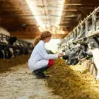 La imagen 4 de la Empresa EL ESTABLO ALMACÉN AGROPECUARIO Veterinario en Bucaramanga SAN