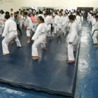 La imagen 5 de la Empresa ESCUELA DE ARTES MARCIALES LA PALESTRA Escuela de artes marciales en Bucaramanga SAN