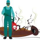 La imagen 2 de la Empresa ESG FUMIGACIONES Y SERVICIOS GENERALES Servicio de control de plagas en Ibagué TOL