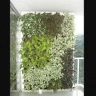 La imagen 5 de la Empresa EXTERIORES TROPICALES Servicio de diseño arquitectónico en Cali VAC