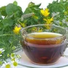 La imagen 2 de la Empresa FARMACIA HOMEOPÁTICA SANTA RITA LTDA Tienda de vitaminas y suplementos en Bogotá CUN