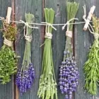 La imagen 4 de la Empresa FARMACIA HOMEOPÁTICA SANTA RITA LTDA Tienda de vitaminas y suplementos en Bogotá CUN