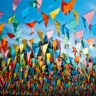 La imagen 3 de la Empresa FESTONES Y FESTÓN Tienda navideña en Cali VAC