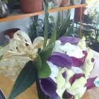 La imagen 1 de la Empresa FLORISTERÍA ABC FLOR Tienda de novias en Pereira RIS