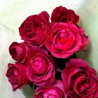 La imagen 2 de la Empresa FLORISTERÍA ABC FLOR Tienda de novias en Pereira RIS