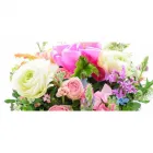 La imagen 4 de la Empresa FLORISTERÍA AZUCENA Mayorista para floristerías en Envigado ANT