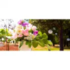 La imagen 5 de la Empresa FLORISTERÍA AZUCENA Mayorista para floristerías en Envigado ANT