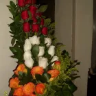 La imagen 2 de la Empresa FLORISTERÍA JARDÍN MUNDIAL Mayorista para floristerías en Medellín ANT