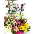 La imagen 3 de la Empresa FLORISTERÍA LA ORQUÍDEA en Cartago VAC