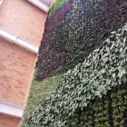 La imagen 7 de la Empresa FOLIA - ARQUITECTURA Y DISEÑO DEL PAISAJE en Bogota DC