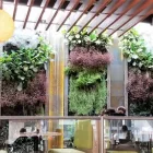 La imagen 8 de la Empresa FOLIA - ARQUITECTURA Y DISEÑO DEL PAISAJE en Bogota DC