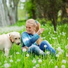 La imagen 5 de la Empresa FRIEND YOU PET Veterinario en Pereira RIS