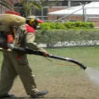 La imagen 2 de la Empresa FUMIEXPERTOS Servicio de control de plagas en Cali VAC